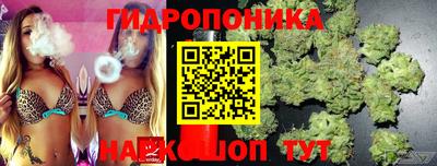 прущие крисы Бузулук