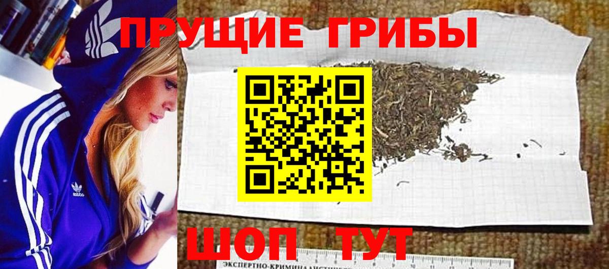 Псилоцибиновые грибы Psilocybine cubensis  сколько стоит  Вход с VPN  Урай  Галлюциногенные грибы Psilocybine cubensis 